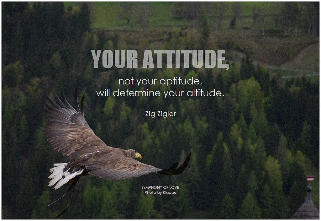 Attitude